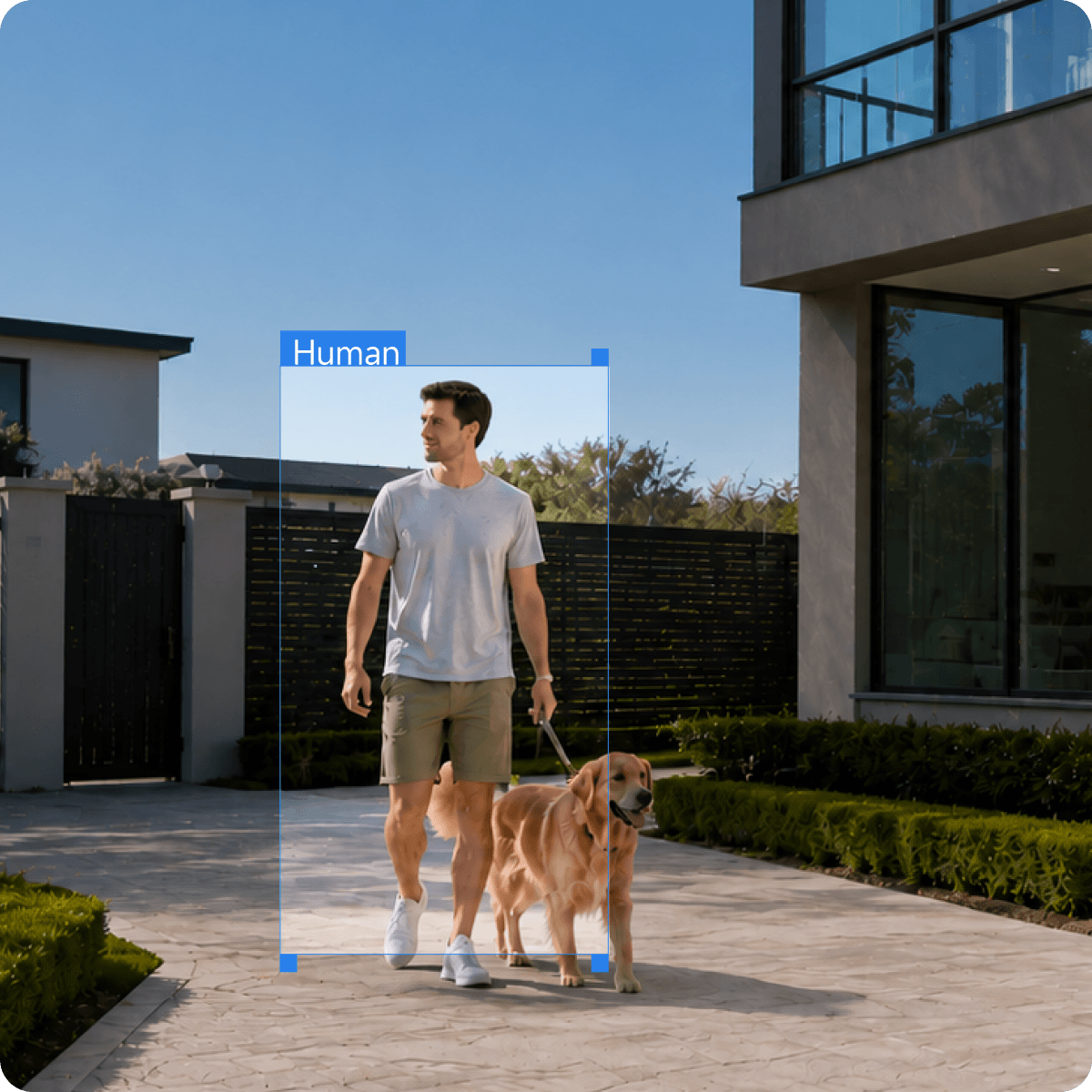 Al Human Detection &Auto Tracking