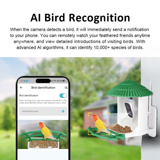 Smart Bird Feeder Camera with Environment Friendly Solar Powered CB55P