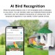 Smart Bird Feeder Camera with Environment Friendly Solar Powered CB55P